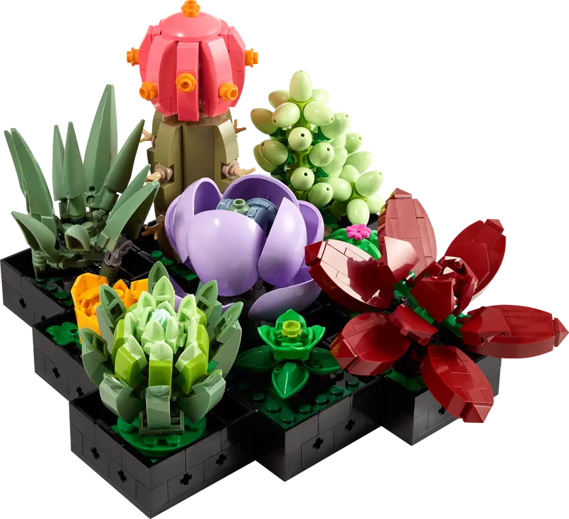 LEGO 10309 | Succulents