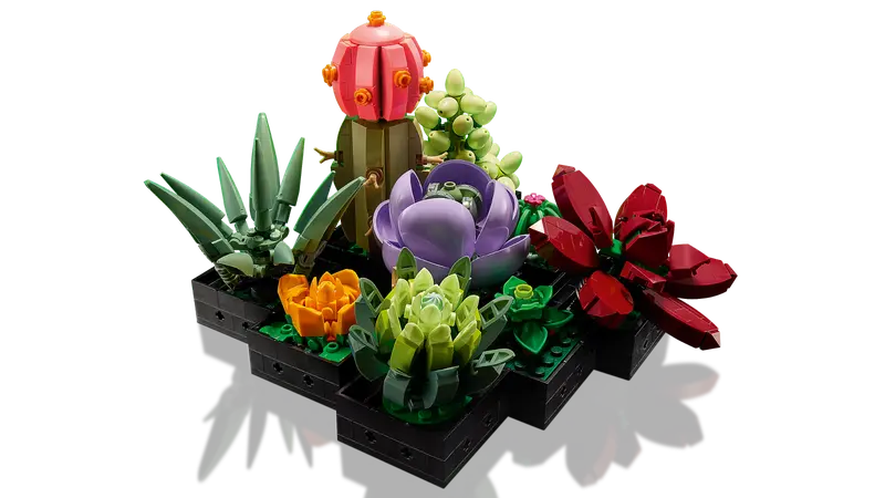 LEGO 10309 | Succulents