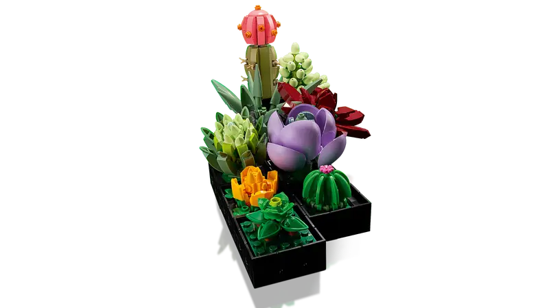 LEGO 10309 | Succulents