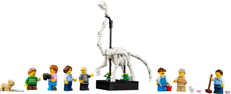 LEGO 10326 | Natural History Museum