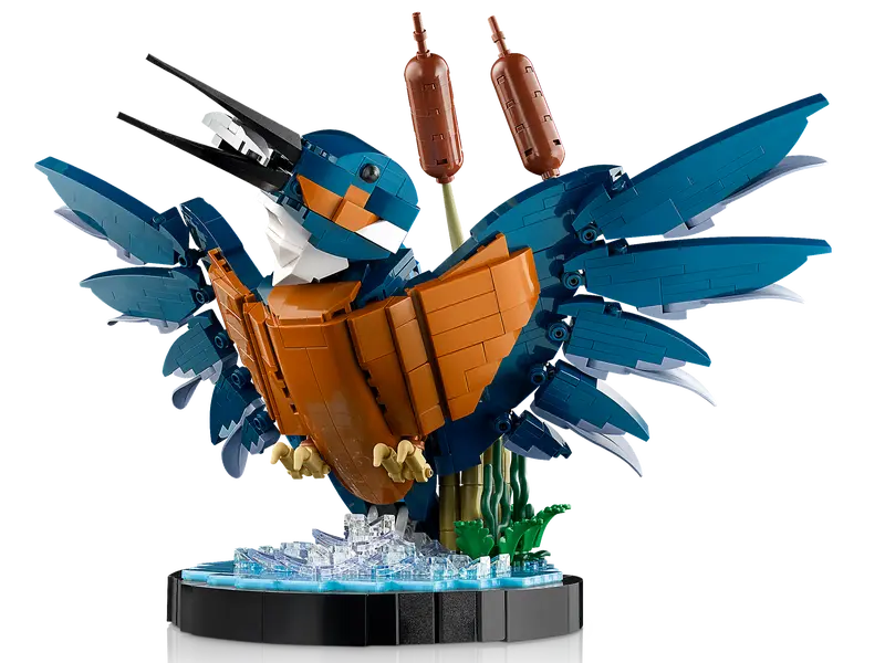 LEGO 10331 | Kingfisher